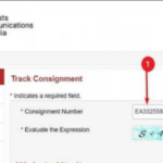 track consignment number